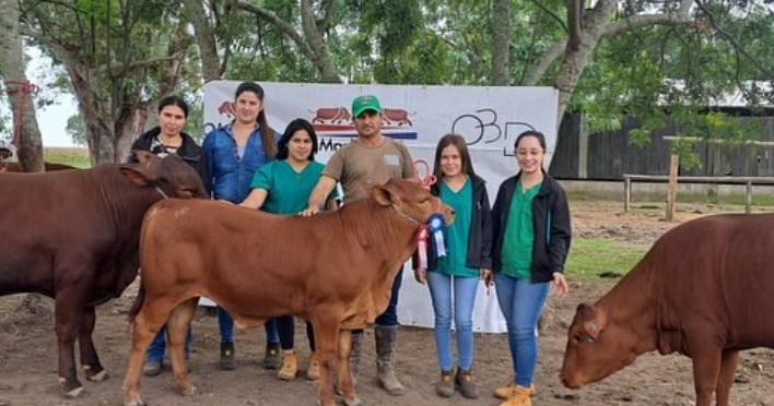 Asociacion Paraguaya de Criadores de Senepol APCS