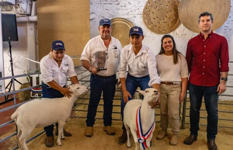Asociacion Paraguaya de Criadores de Texel  768x497